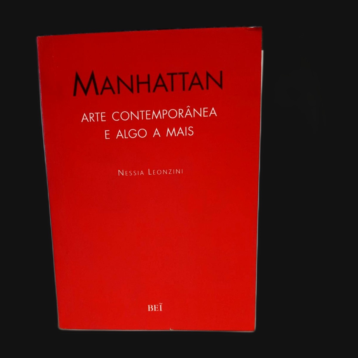 Livro Manhattan: arte contemporânea e algo a mais