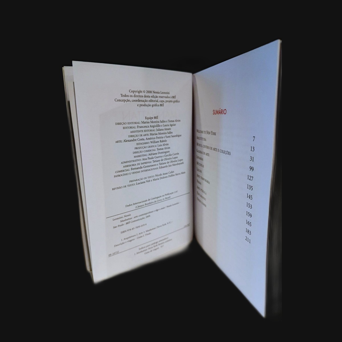 Livro Manhattan: arte contemporânea e algo a mais - Image 3